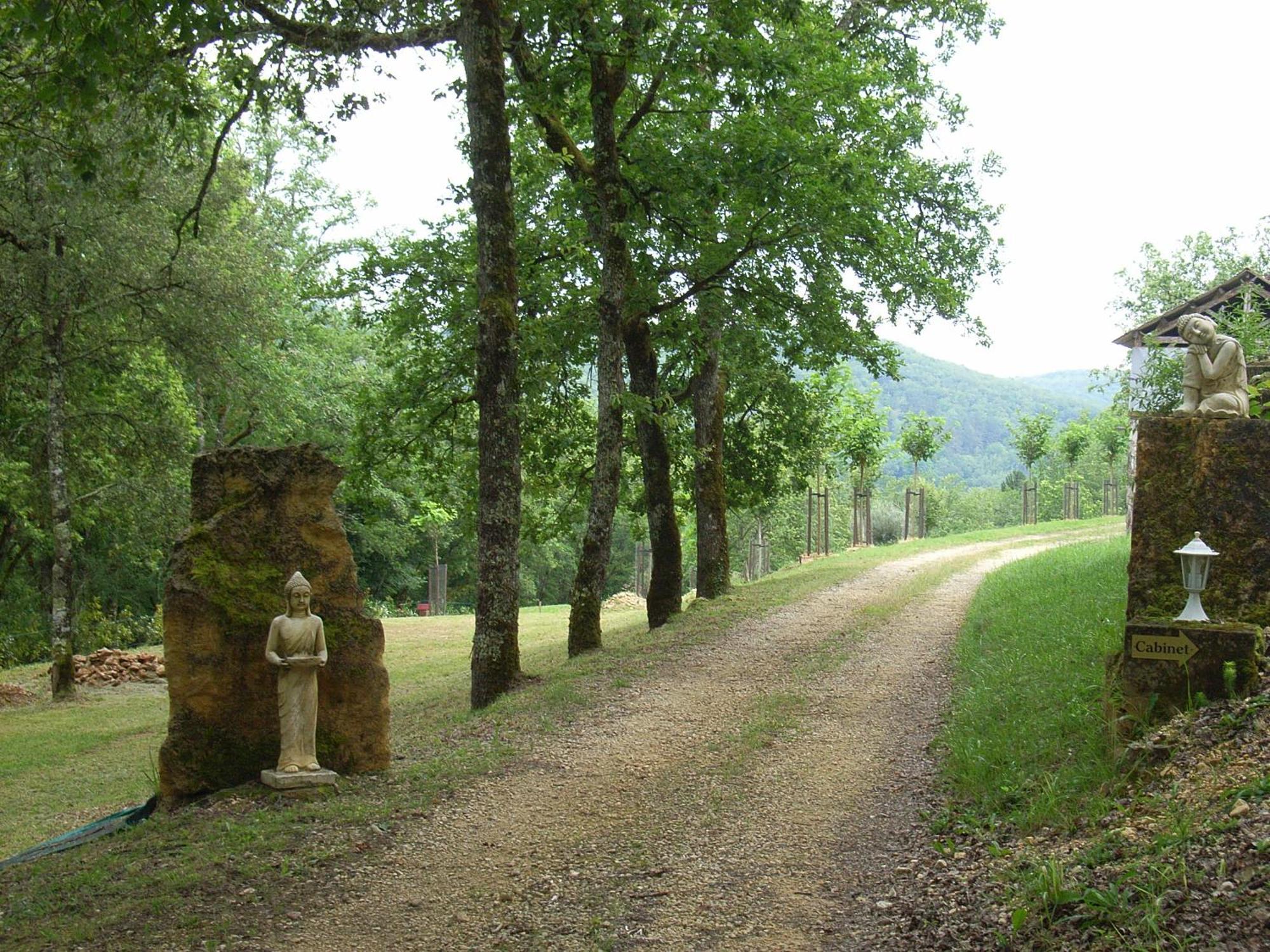 Studio Aux Eyzies Au Coeur De La Vallee De L'Homme Les Eyzies Ngoại thất bức ảnh