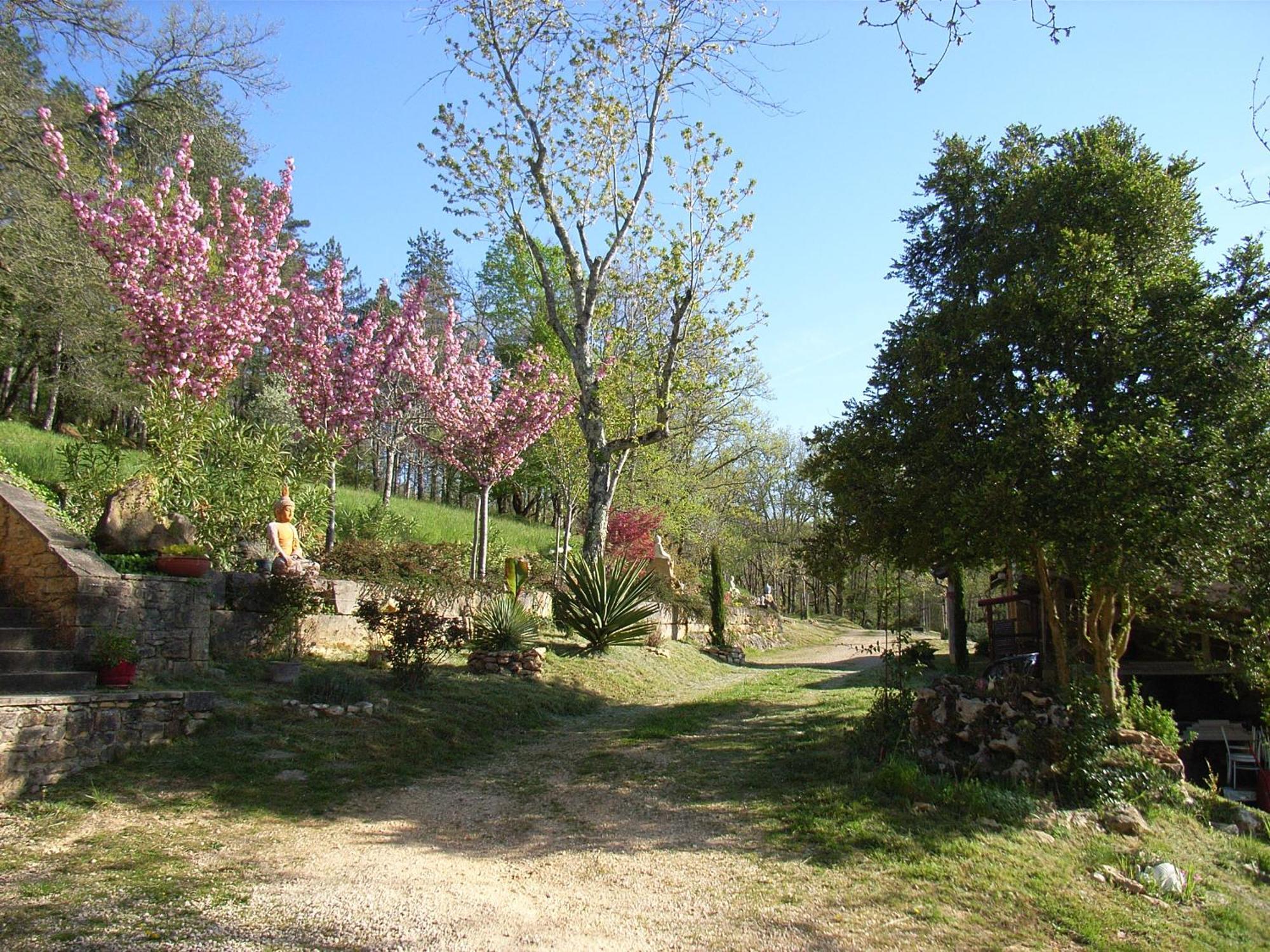 Studio Aux Eyzies Au Coeur De La Vallee De L'Homme Les Eyzies Ngoại thất bức ảnh