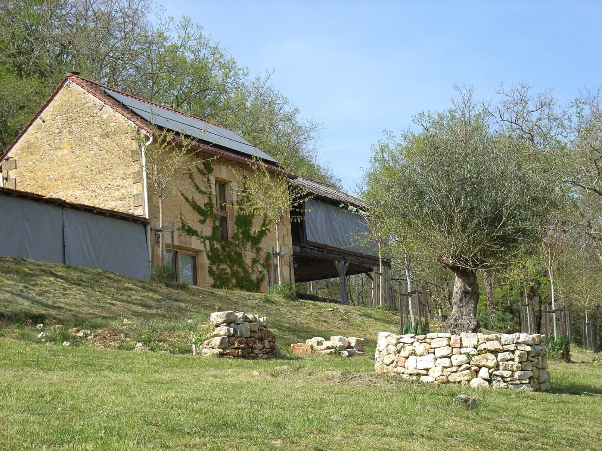 Studio Aux Eyzies Au Coeur De La Vallee De L'Homme Les Eyzies Ngoại thất bức ảnh